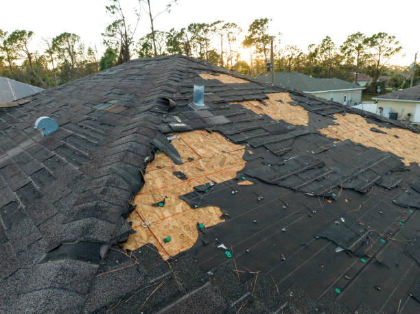 Best Sheet Metal Roofing  in Dunnigan, CA